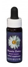 Shasta Daisy Flower Essence