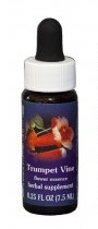 Trumpet Vine Flower Essence