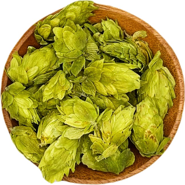 Hops Flowers Organic