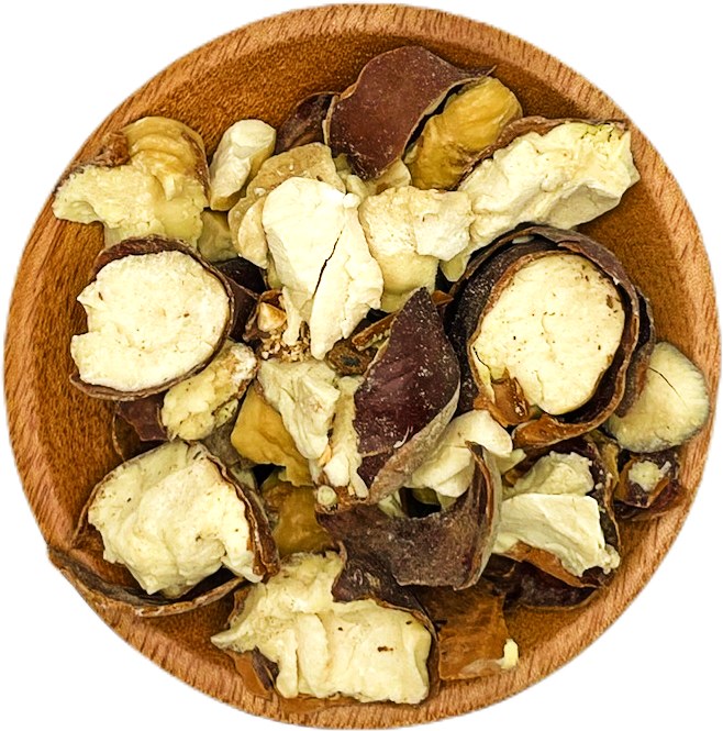 Horse Chestnut Organic