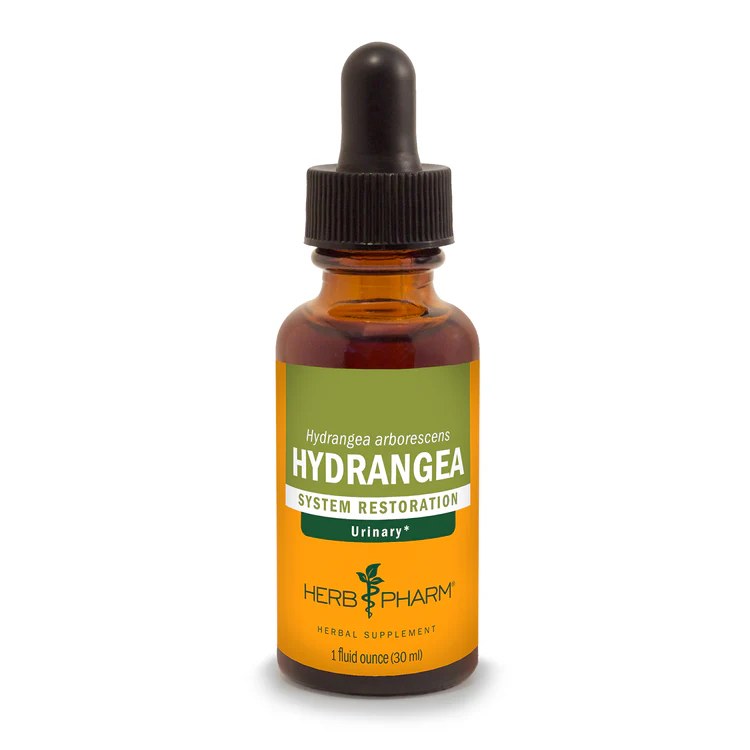Hydrangea Root Extract