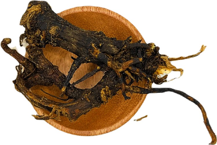 Osha Root Whole Wildharvested