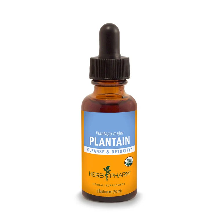 Plantain Extract