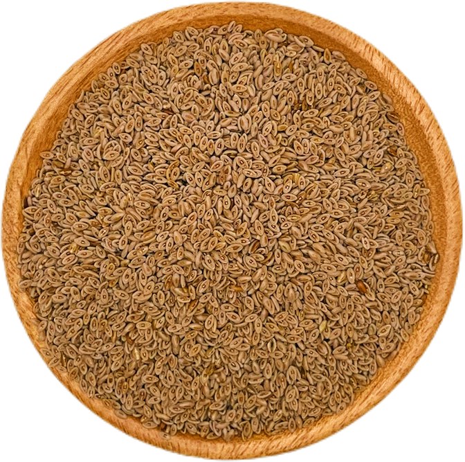 Psyllium Seed Whole Organic