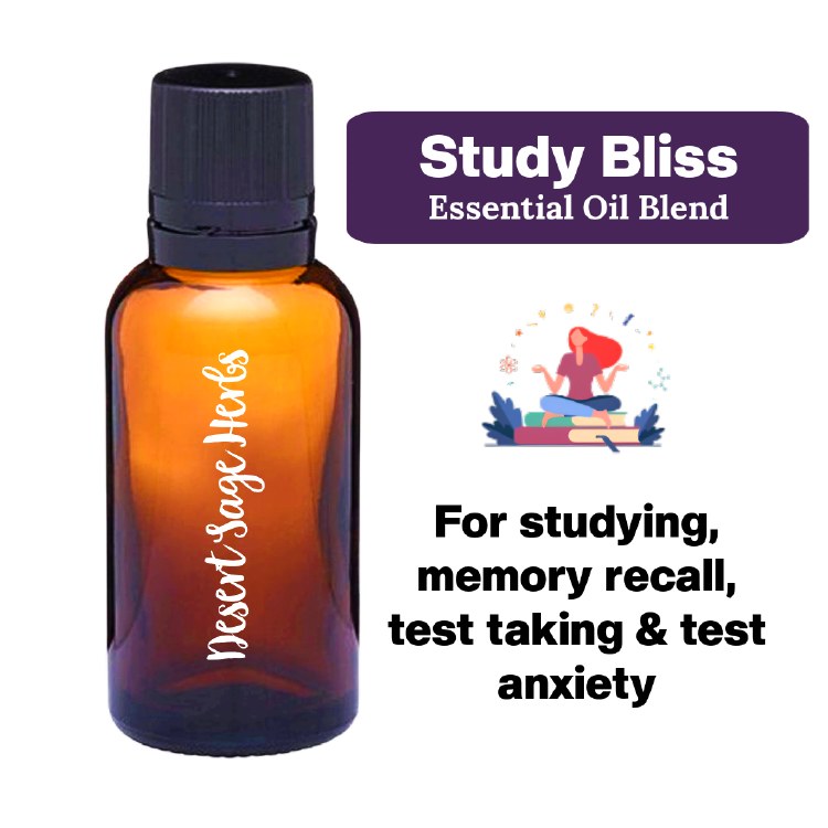 Study Bliss 5/8 Dram