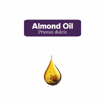 Almond Oil Sample, 5 Drops