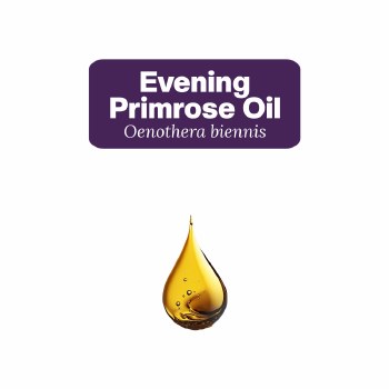 Evening Primrose Oil Sample, 5 Drops