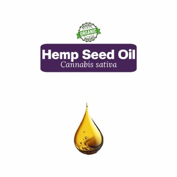 Hemp Seed Oil Sample, 5 Drops
