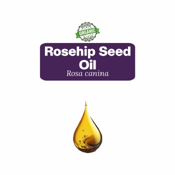 Rosehip Seed Oil Sample, 5 Drops