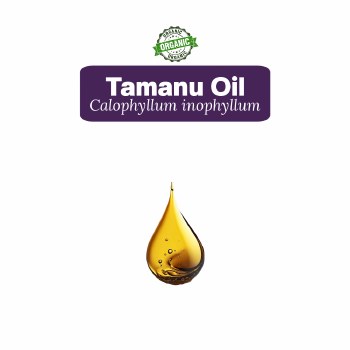 Tamanu Oil Sample, 5 Drops