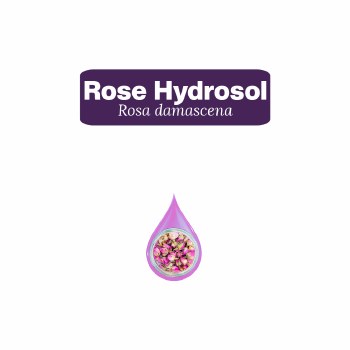 Rose Hydrosol Sample, 10 Drops