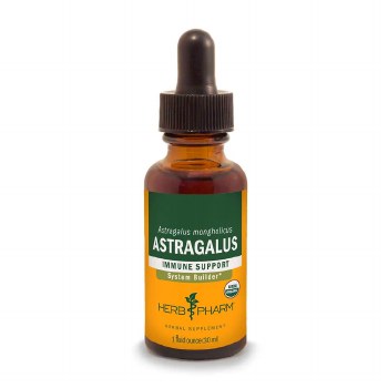 Astragalus Extract