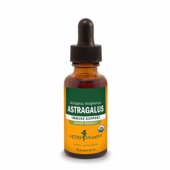 Astragalus Extract