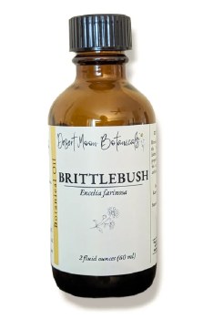 Brittlebush Flower Oil 1oz