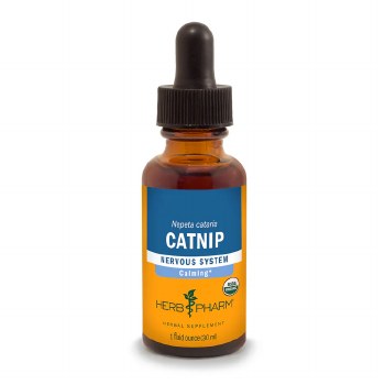 Catnip Extract