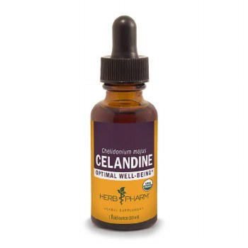 Celandine Extract