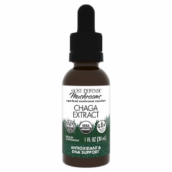 Chaga Extract