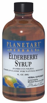 Elderberry Syrup 4oz