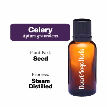 Celery 5/8 Dram