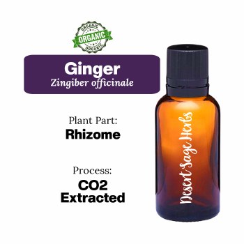 Additional picture of Ginger 1/2oz
