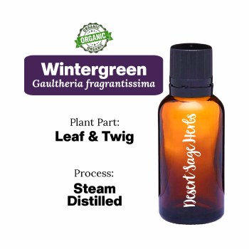 Wintergreen  5/8 Dram