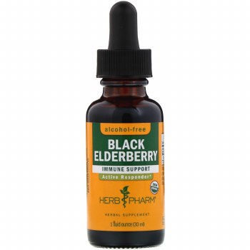 Black Elderberry Alcohol-Free Extract