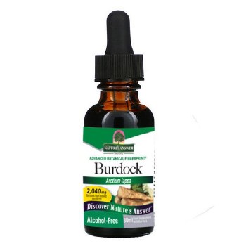 Burdock Root Alcohol-Free Extract