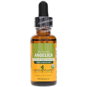 Angelica Root Extract