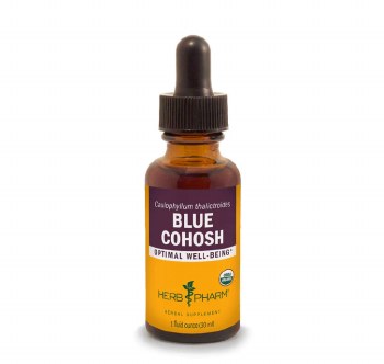 Blue Cohosh Extract