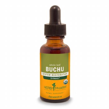 Buchu Extract