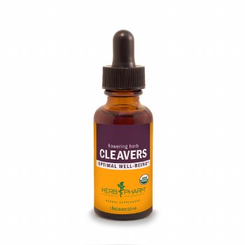 Cleavers Extract