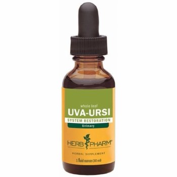 Uva Ursi Extract