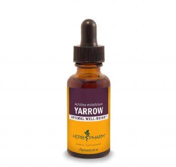 Yarrow Extract