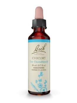 Chicory Flower Essence