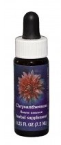Chrysanthemum Flower Essence
