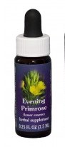 Evening Primrose Flower Essence
