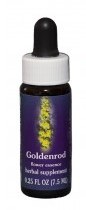 Goldenrod Flower Essence