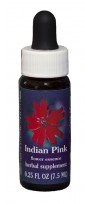 Indian Pink Flower Essence
