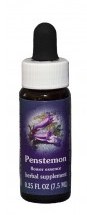 Penstemon Flower Essence