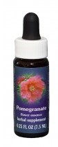 Pomegranate Flower Essence