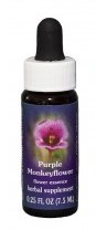 Purple Monkeyflower Flower Essence