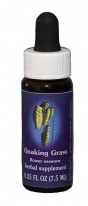 Quaking Grass Flower Essence