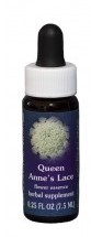 Queen Anne's Lace Flower Essence