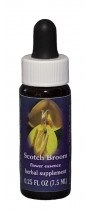 Scotch Broom Flower Essence