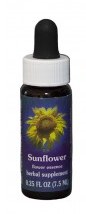 Sunflower Flower Essence