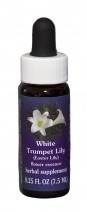 White Trumpet Lily Flower Essence