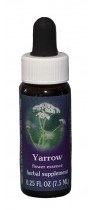 Yarrow Flower Essence