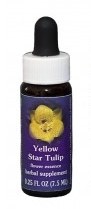Yellow Star Tulip Flower Essence