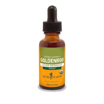Goldenrod Extract