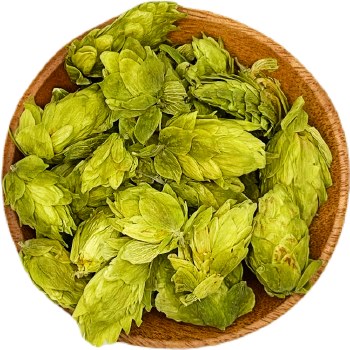 Hops Flowers Organic